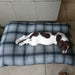 House of Paws Tweed and Water Resistant Pet Cushion Mattress