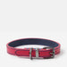 Joules Leather Dog Collar - Fuschia