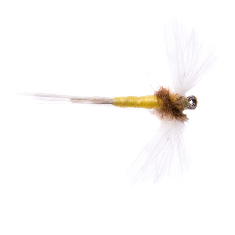 CDC Caenis Spinner Flies
