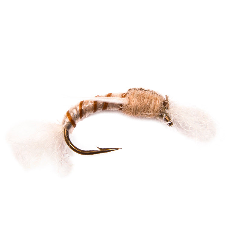 Biege Polyrib Buzzer Flies