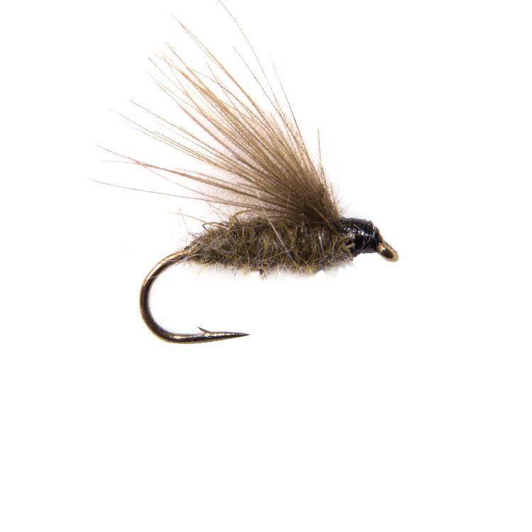 CDC F Fly Olive Flies