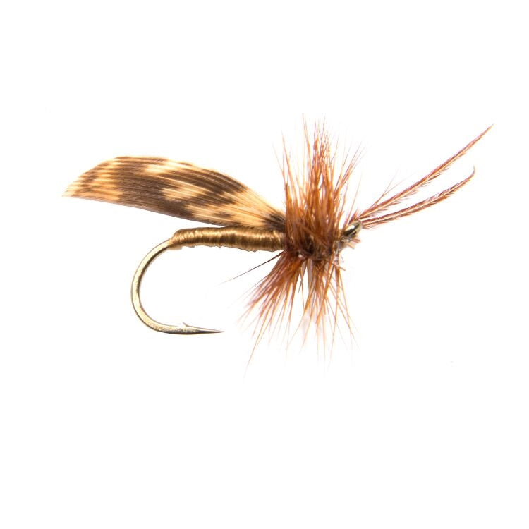 Olive Horned Sedge Flies