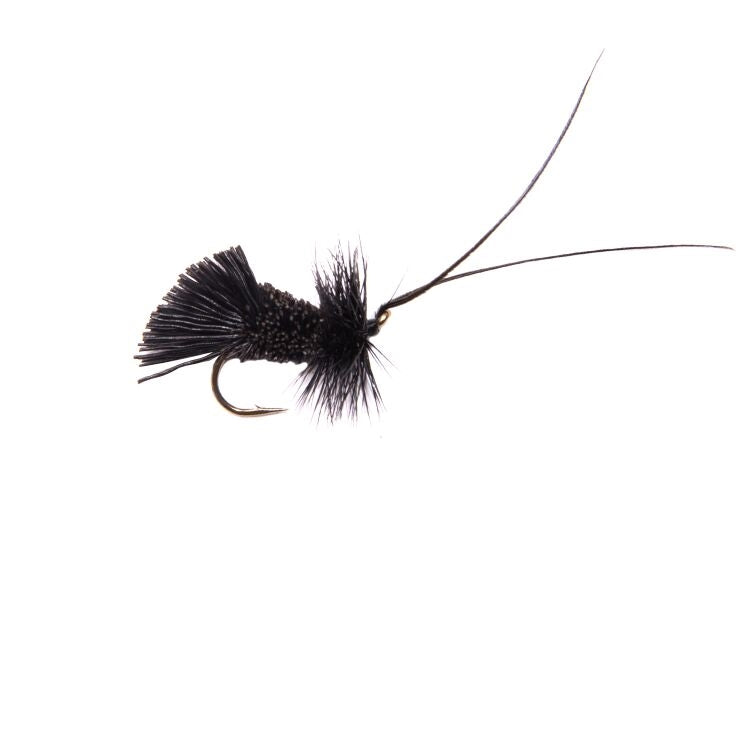 Black Horned Sedge Flies