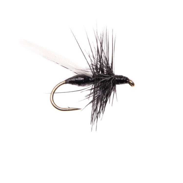 Black Flying Ant Flies