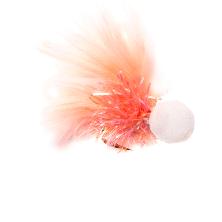 Coral Fritz Booby