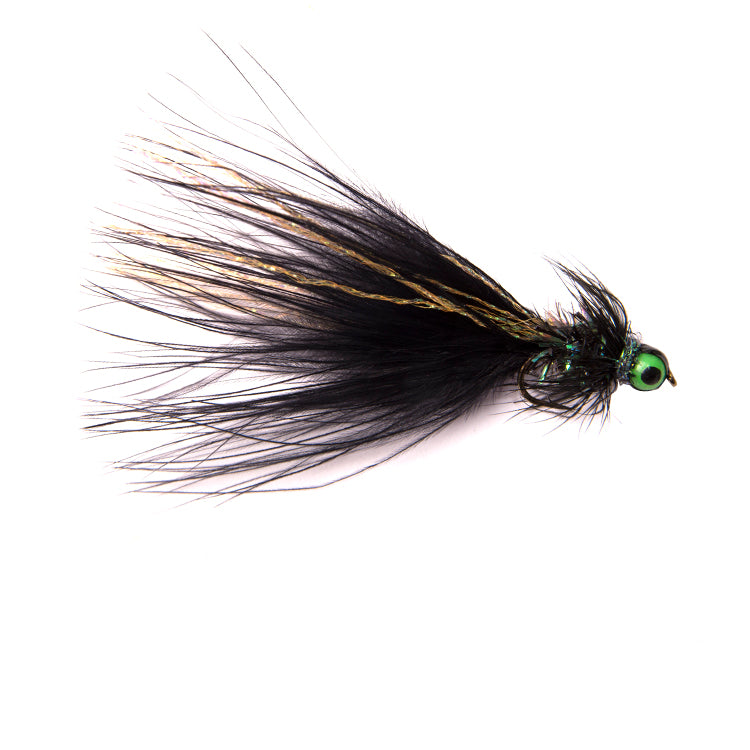 Black Tadpole