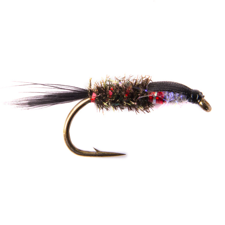 Diawl Bach Buzzer