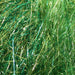 Frodin Flies SSS Dubbing - Gaudy Green