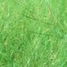 Frodin Flies SSS Dubbing - Hot Greenlander Green