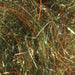 Frodin Flies SSS Dubbing - Nasty Rusty