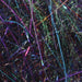 Frodin Flies SSS Dubbing - Rainbow