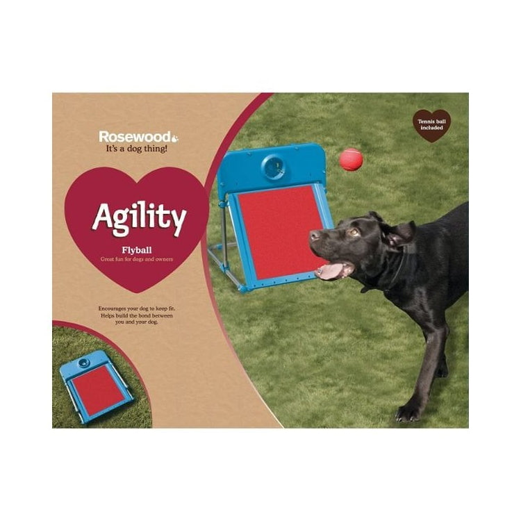 Rosewood Agility Flyball