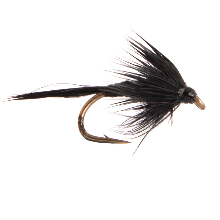 Black Gnat Nymph Flies