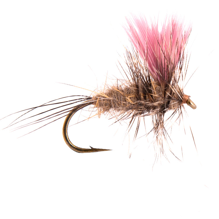 Silhouette Mayfly