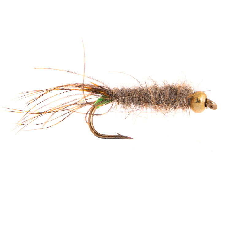 Caddis Gold Bead Flies