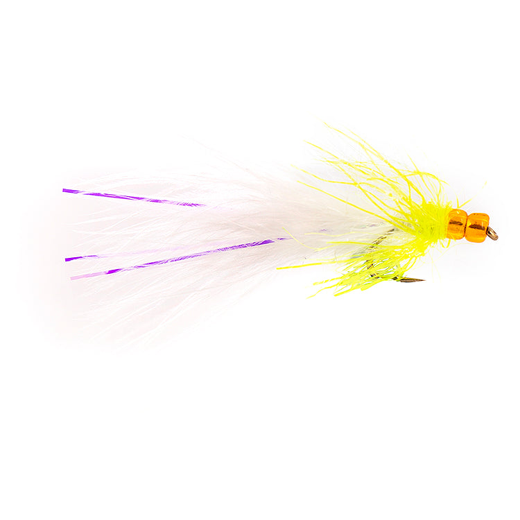 Cats Tiger Eyed Flies