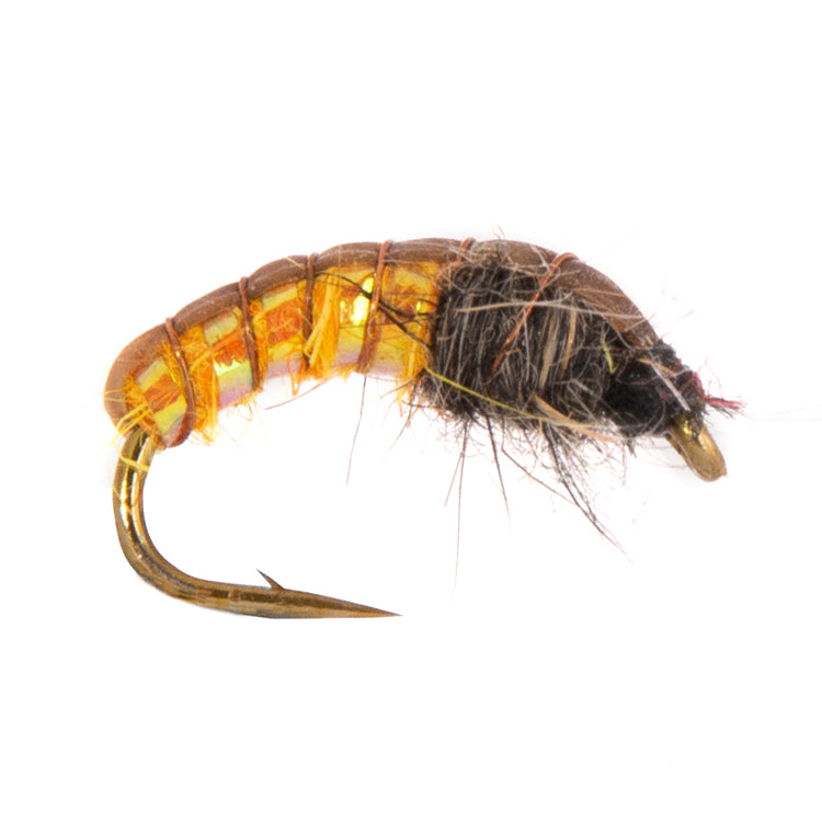 Czech Nymph Orange Gamarus Flies