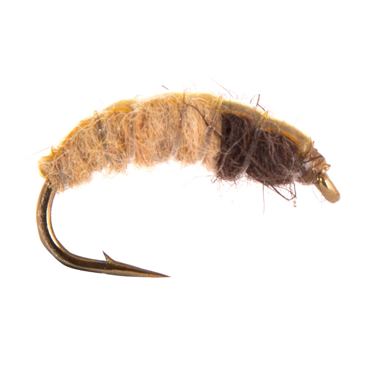 Czech Nymph Hydropsyche Flies
