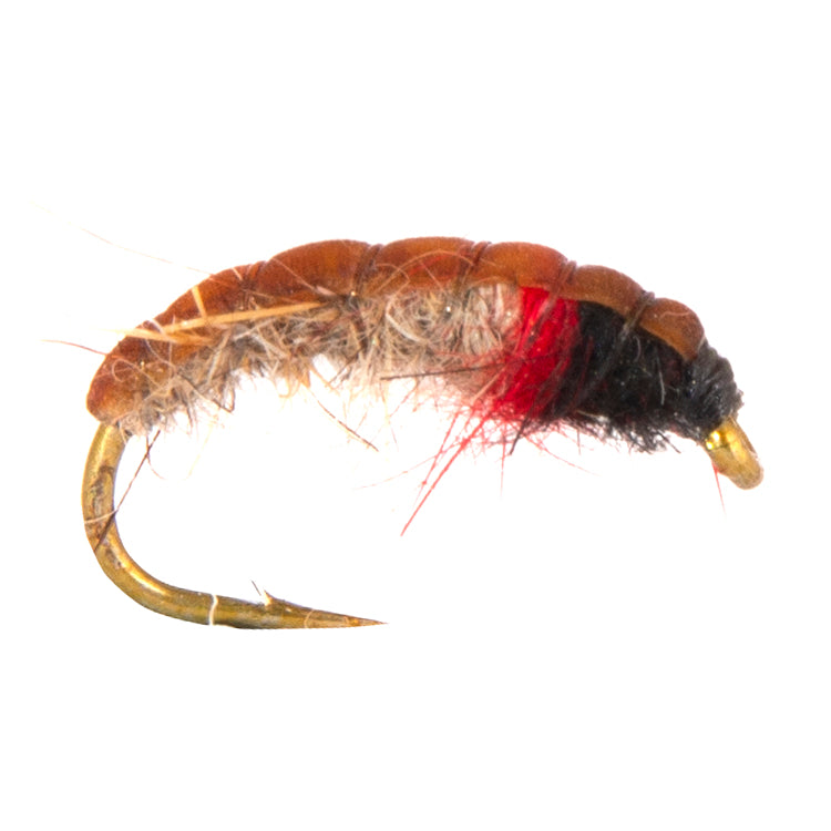 Czech Nymph Red Hydropsyche Flies