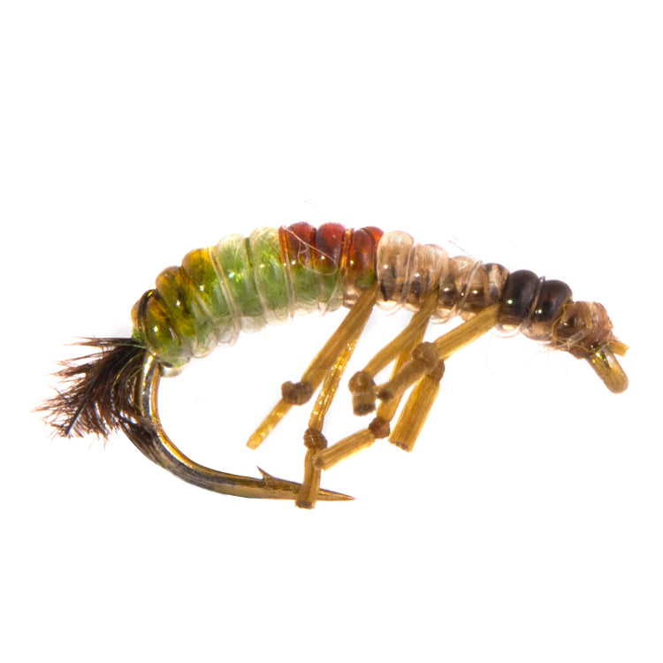 Czech Nymph Rubber Rhyacophlya Flies