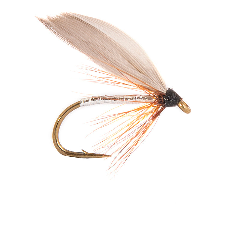 Silver Sedge Winged Wet
