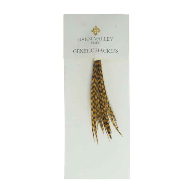 Bann Valley Genetic Hackles - Grizzle Dyed Honey