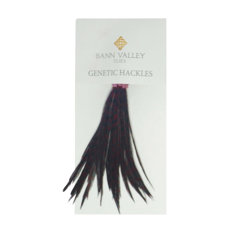 Bann Valley Genetic Hackles - Grizzle Dyed Ruby Claret