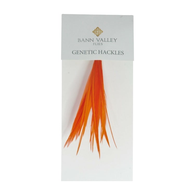 Bann Valley Genetic Hackles - Hot Orange