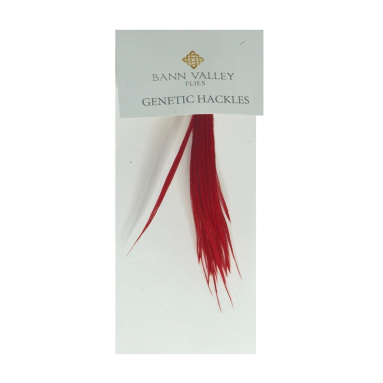 Bann Valley Genetic Hackles - Scarlet Red