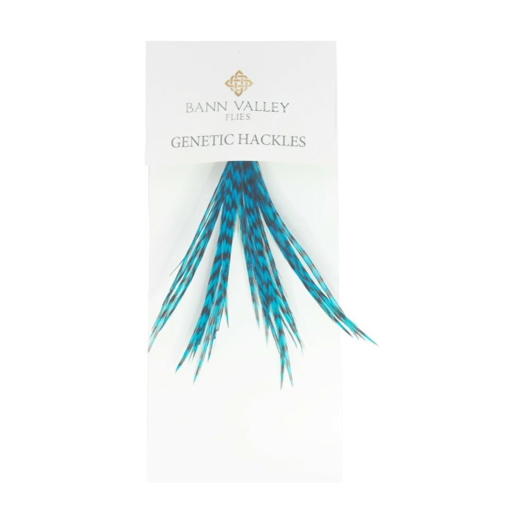 Bann Valley Genetic Hackles - Grizzle Dyed Blue Jay