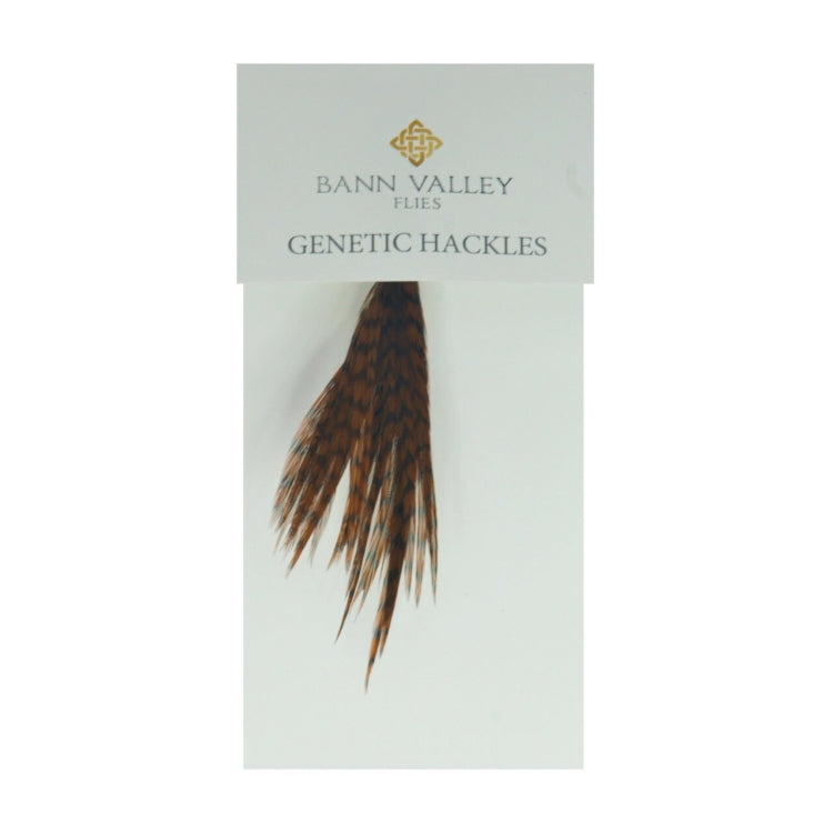 Bann Valley Genetic Hackles - Grizzle Dyed Chocolate