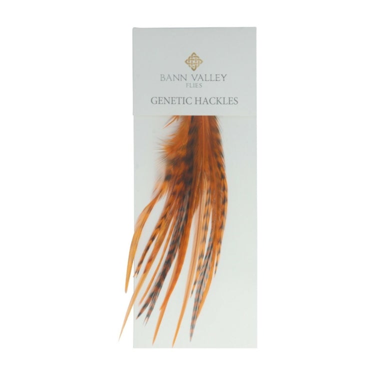 Bann Valley Genetic Hackles - Grizzle Rich Fiery Brown