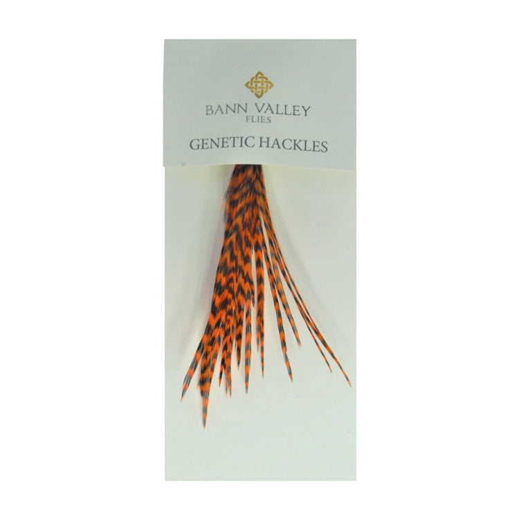 Bann Valley Genetic Hackles - Grizzle Dyed Hot Orange