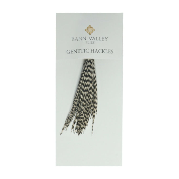 Bann Valley Genetic Hackles - Grizzle Natural