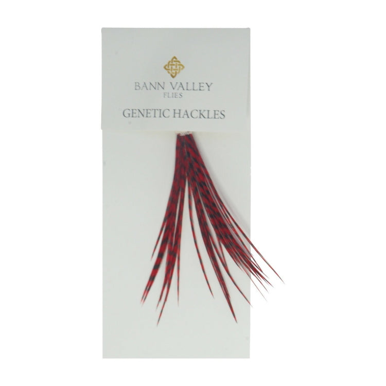 Bann Valley Genetic Hackles - Grizzle Dyed Red