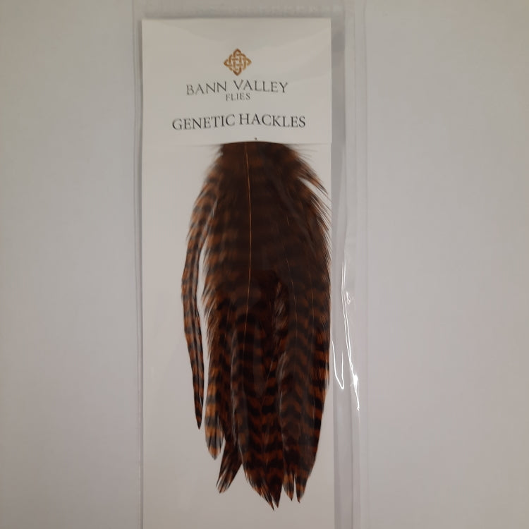 Bann Valley Metz Genetic Hackles - Brown Grizzle