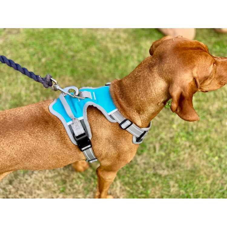 Henry Wag Dog Travel Harness
