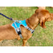 Henry Wag Dog Travel Harness