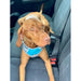 Henry Wag Dog Travel Harness