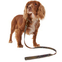 Barbour Reflective Tartan Dog Lead - Classic Tartan