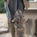 Sophie Allport Dog Lead - Teal