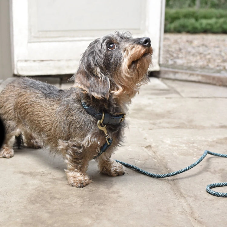 Sophie Allport Rope Dog Lead - Teal