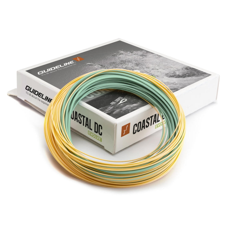 Guideline Coastal Evolve Slow Intermediate Fly Line