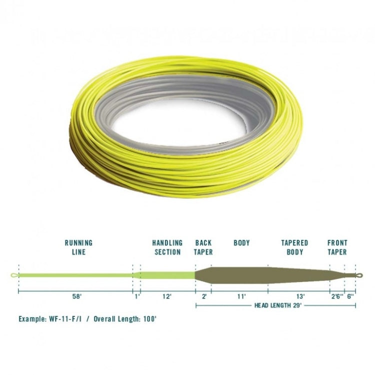 Rio In Touch Pike/Musky Fly Lines John Norris