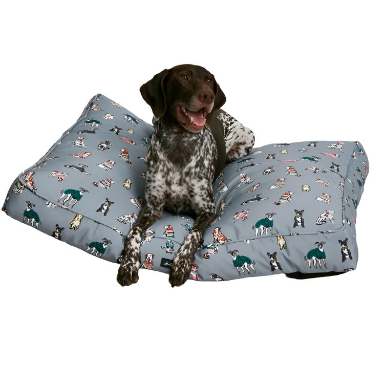 Dog Beds and Mattresses John Norris