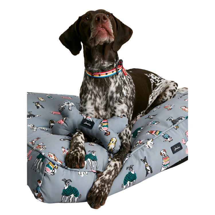 Joules Rainbow Dogs Dog Mattress