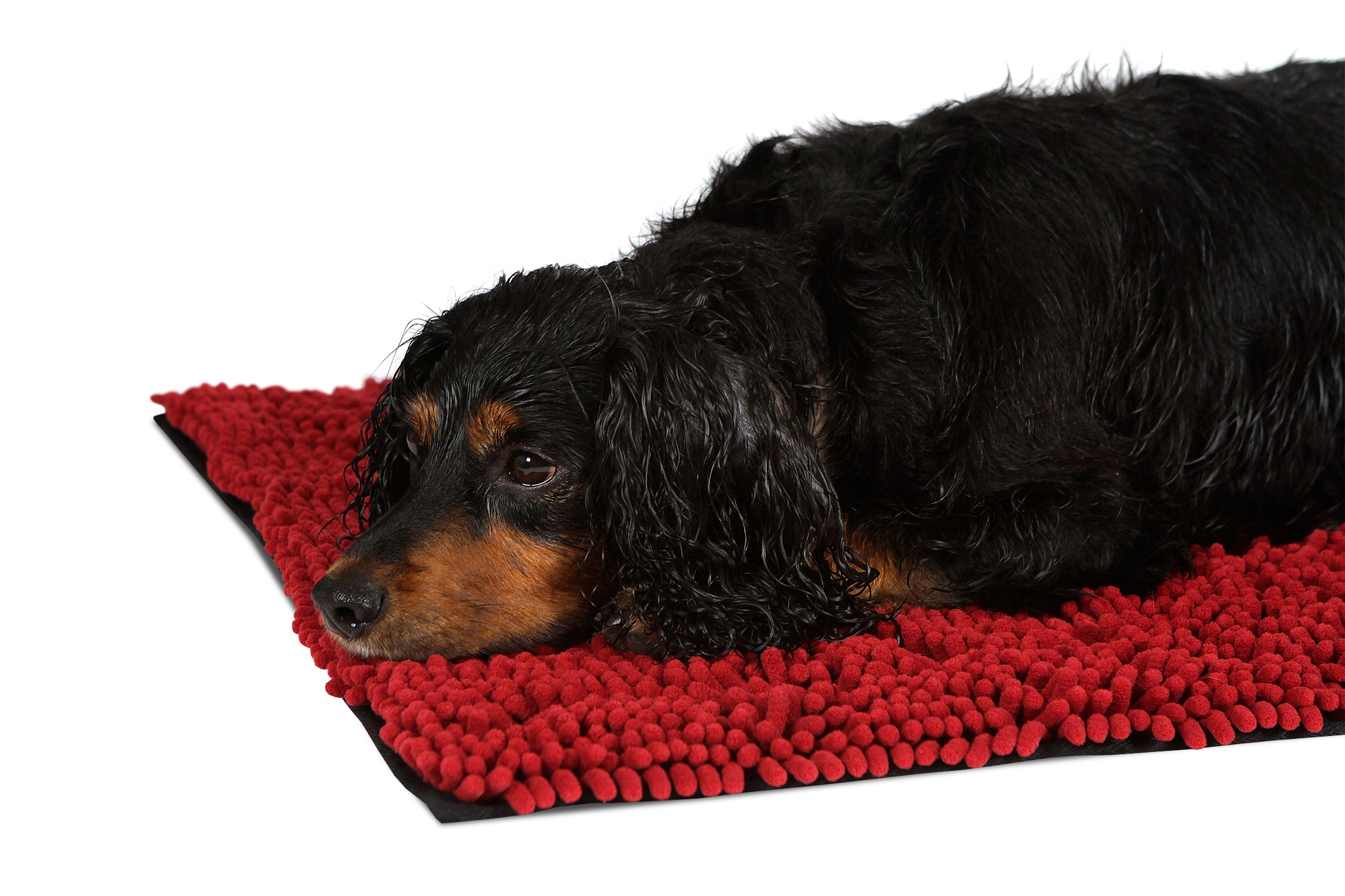 Scruffs Noodle Dry Dog Mat - Assorted Colours