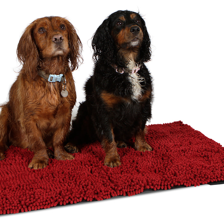Scruffs Noodle Dry Dog Mat - Assorted Colours