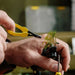 Loon Ergo Hackle Plier - Yellow