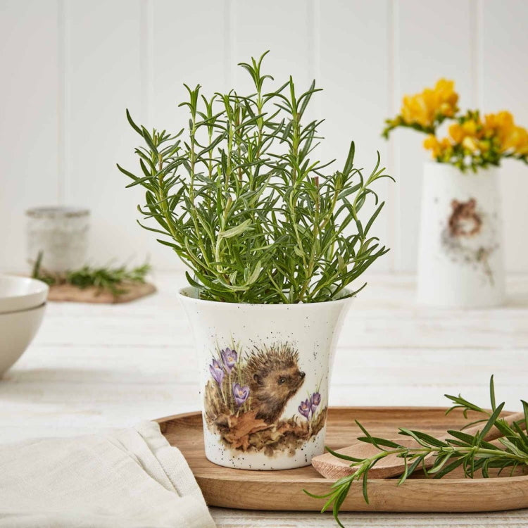 Wrendale Designs New Beginnings Flower/Herb Pot